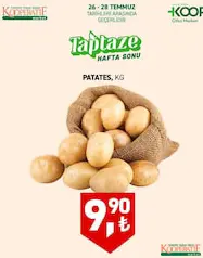 PATATES KG fiyat ve kampanya bilgisi
